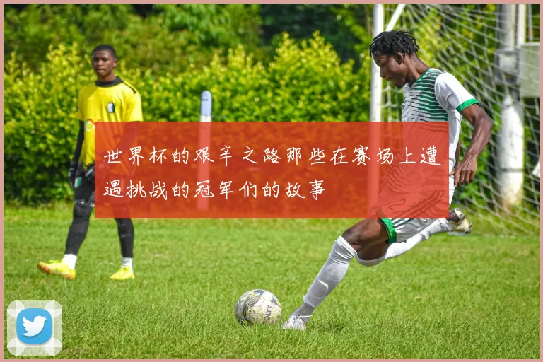 世界杯的艰辛之路那些在赛场上遭遇挑战的冠军们的故事
