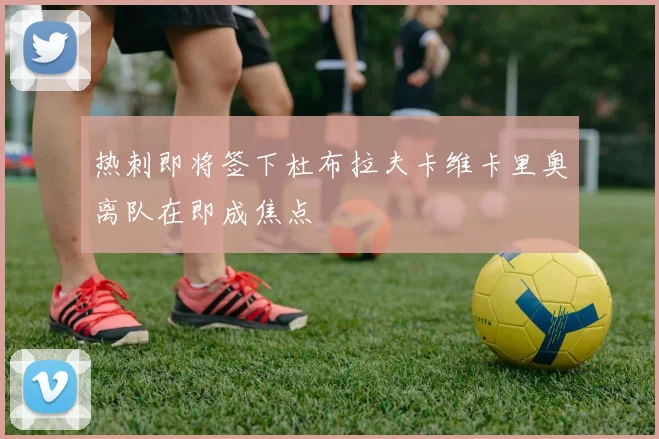 热刺即将签下杜布拉夫卡维卡里奥离队在即成焦点